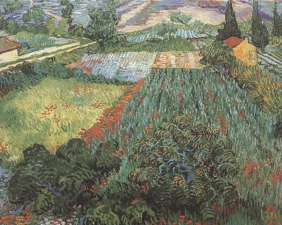 Vincent Van Gogh Field with Poppies (nn04) oil painting image